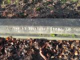 image of grave number 364990